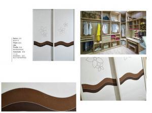 芬迪衣柜移动门案例 3
